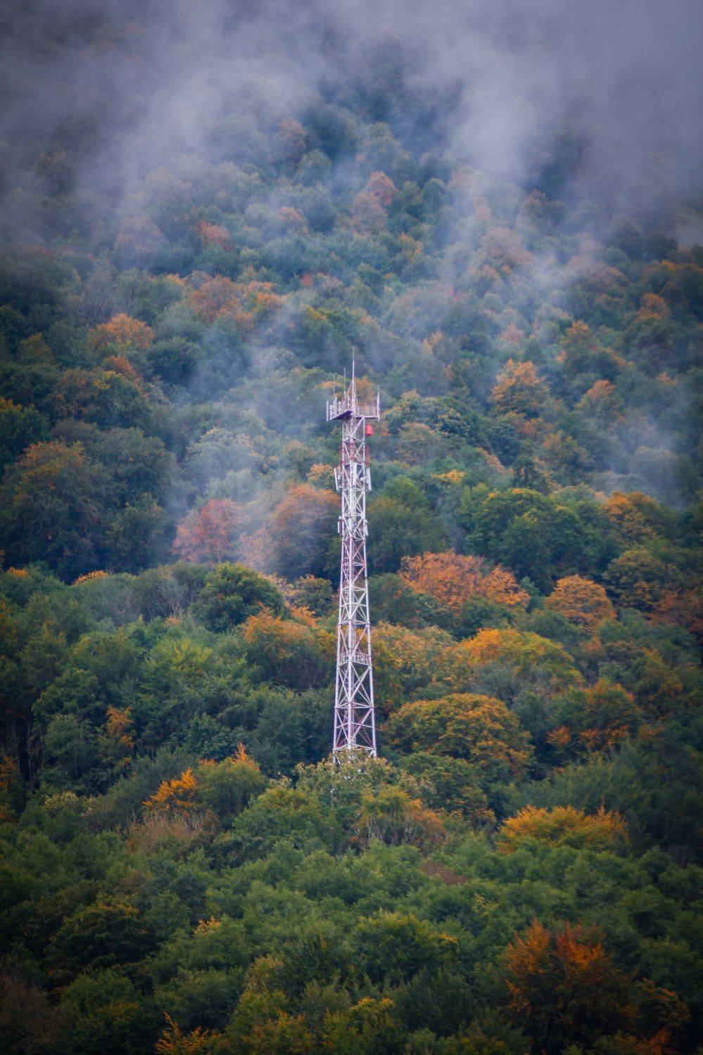 , Сергей Фаренюк