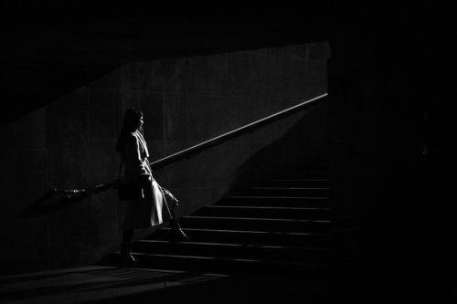 Навстречу Свету