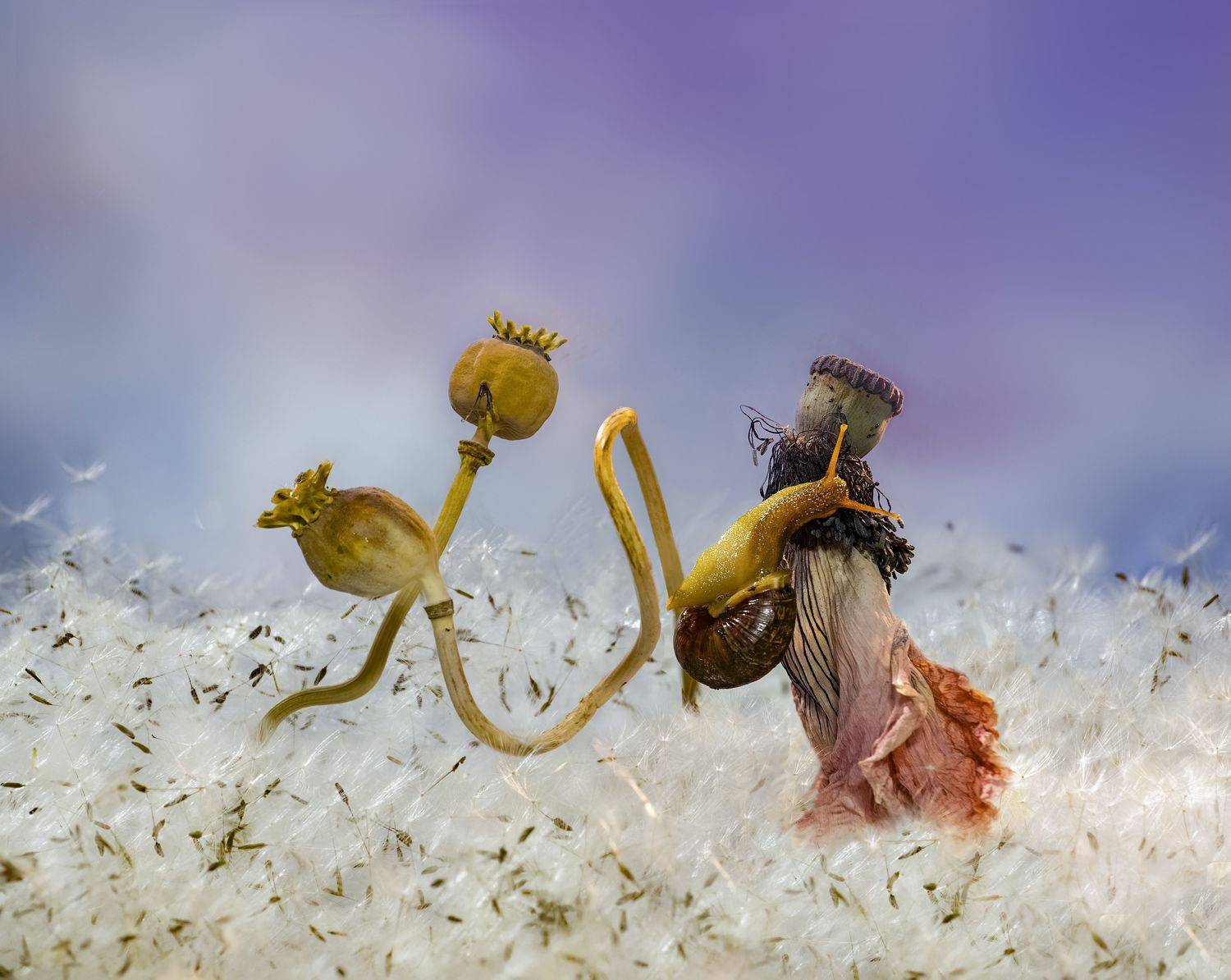 , Черновол Валентин