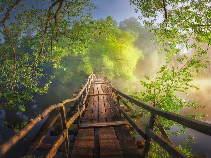 Прогулка по мосту фото превью