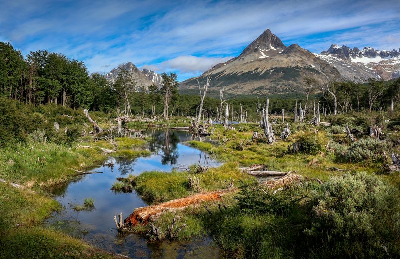 аргентина, огненная земля, ушуайя, патагония, долина волков, valle los lobos, нд, argentina, tierra del fuego, patagonia, ushuaia, далекая патагония нд Долина Волков фото превью