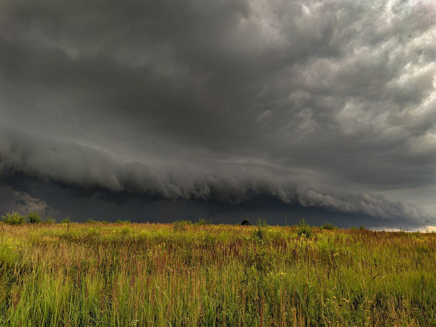 , Светлана Кондрашова