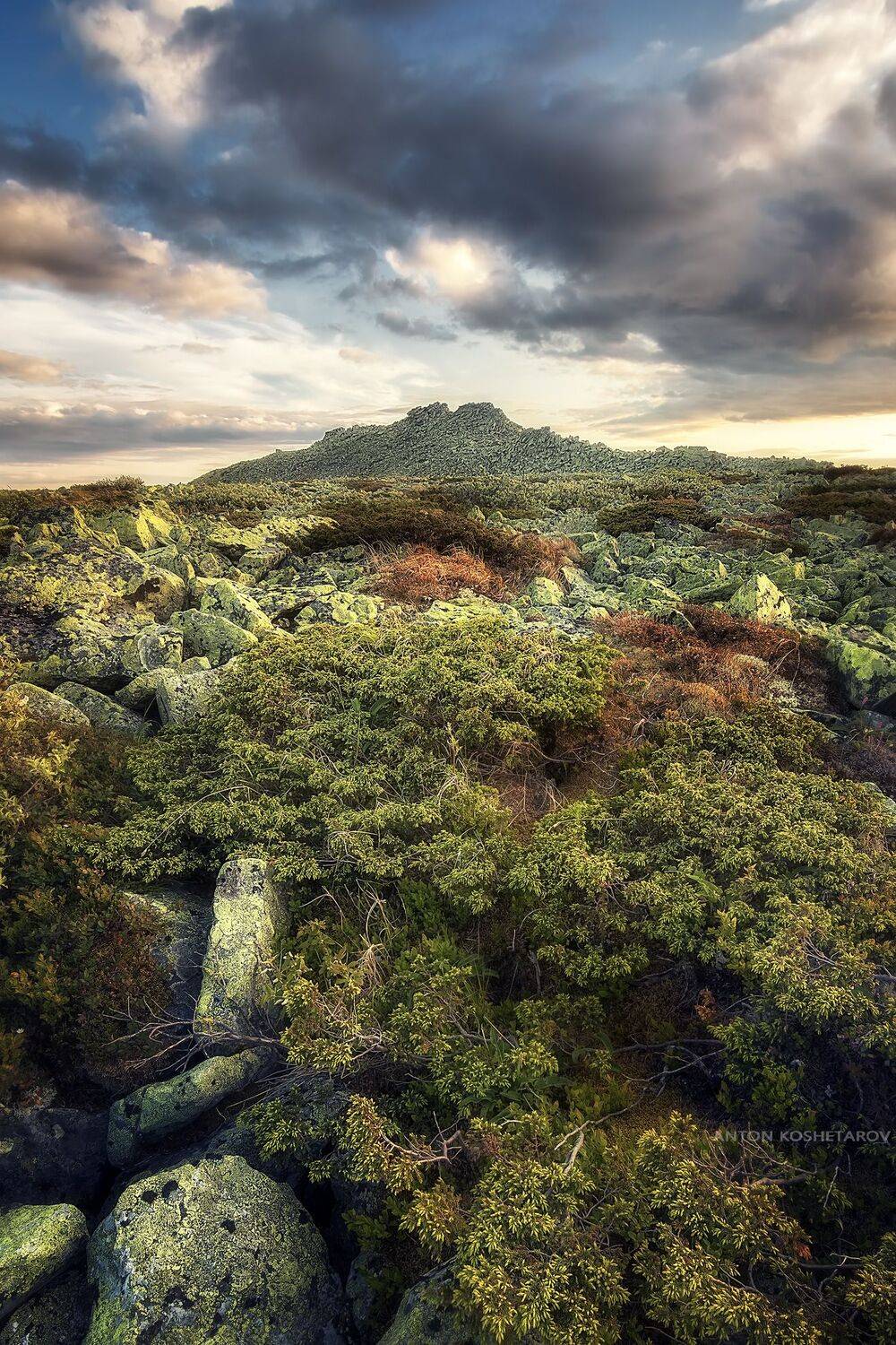 , Антон Кошетаров