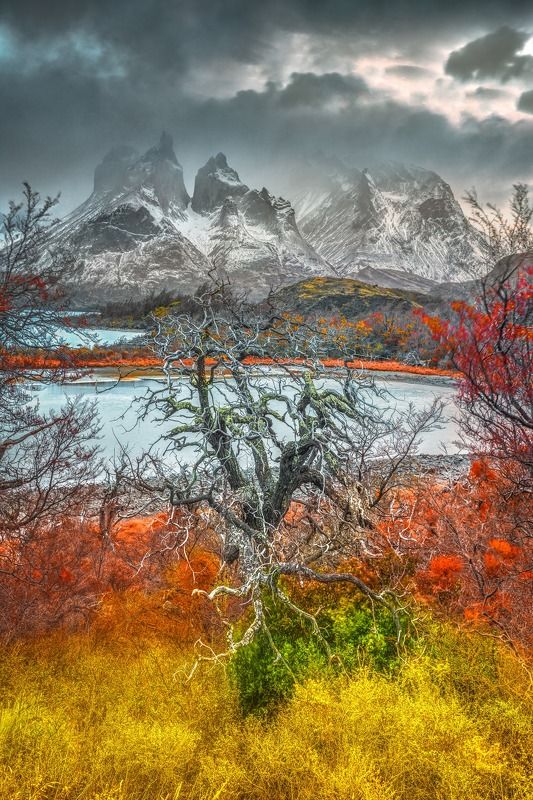 Torres del Paine фото превью