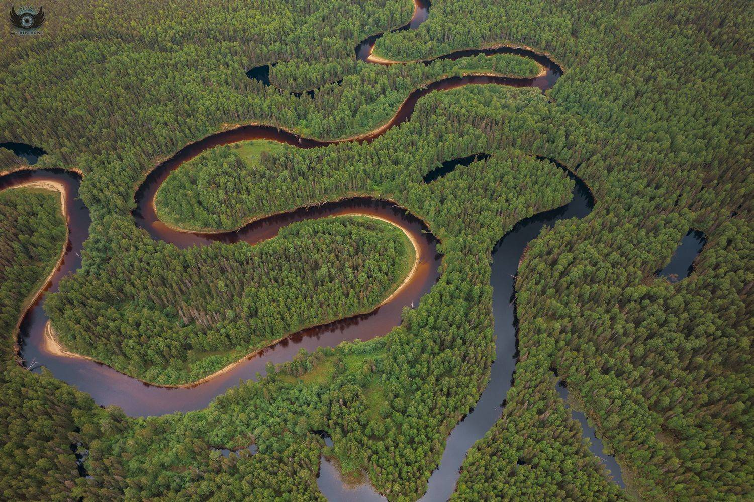 , Владислав Трушков