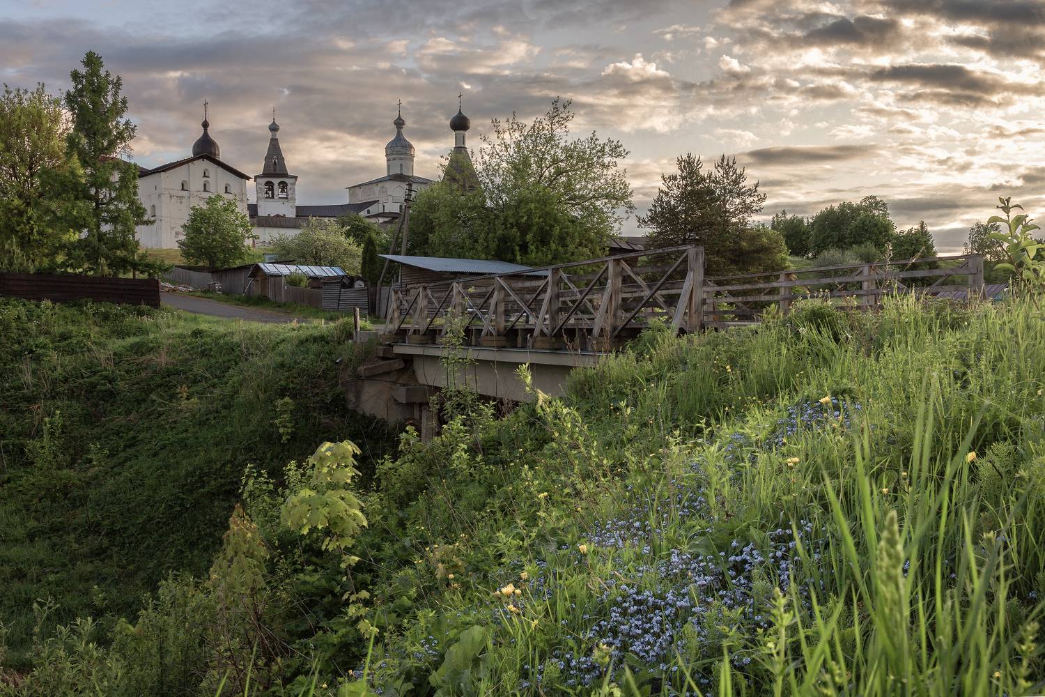вологодская, область, Елена Гусева