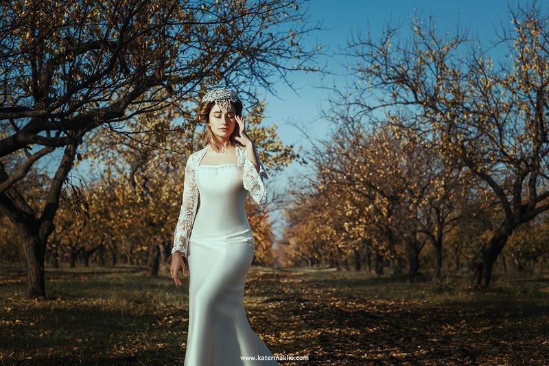 autumn, bride, dog, clouds, white, dress, surrealism Autumn Bride фото превью