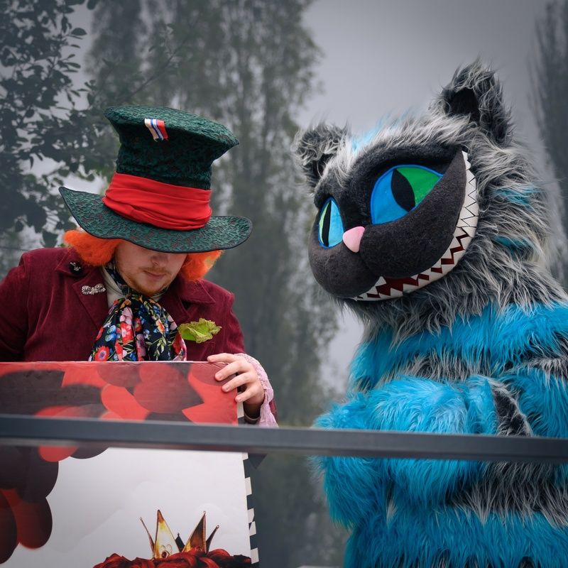 фото превью