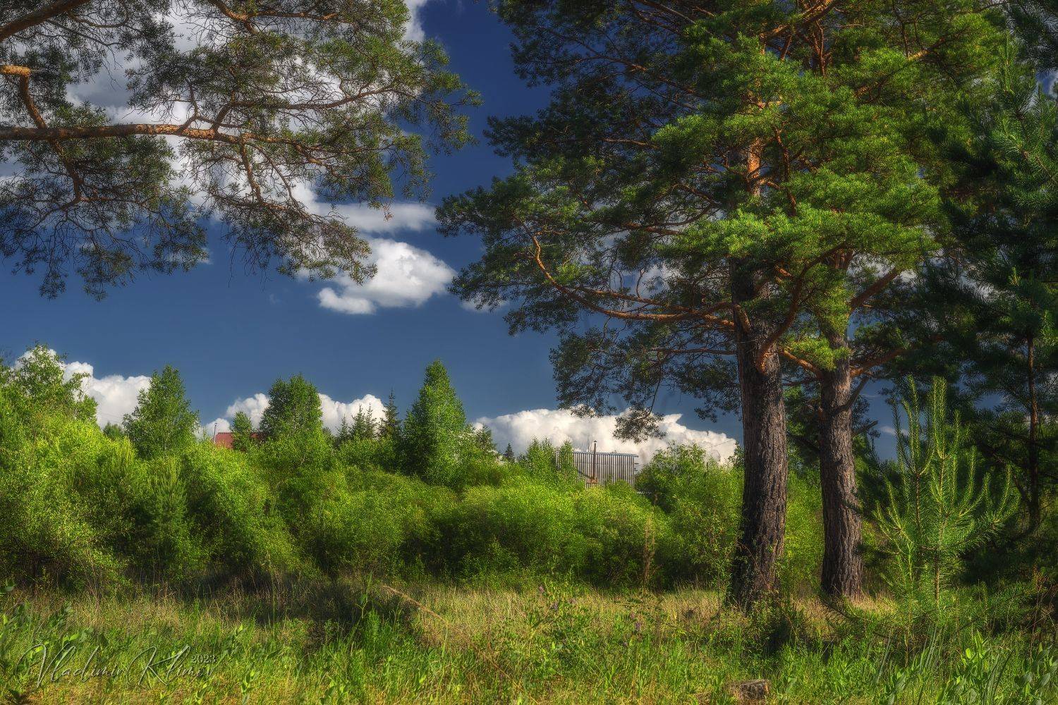 , Владимир Климов