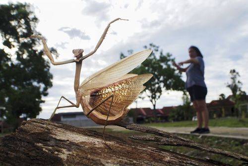 Come On, Exercise With Me !