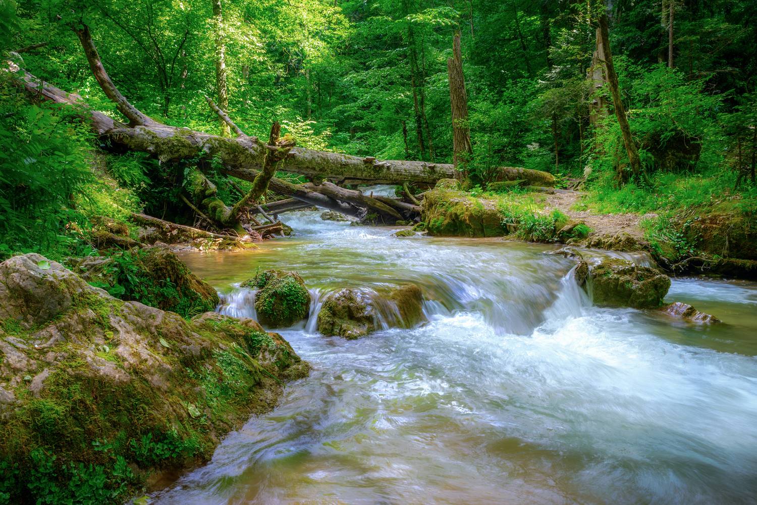 , Сергей Тихомиров