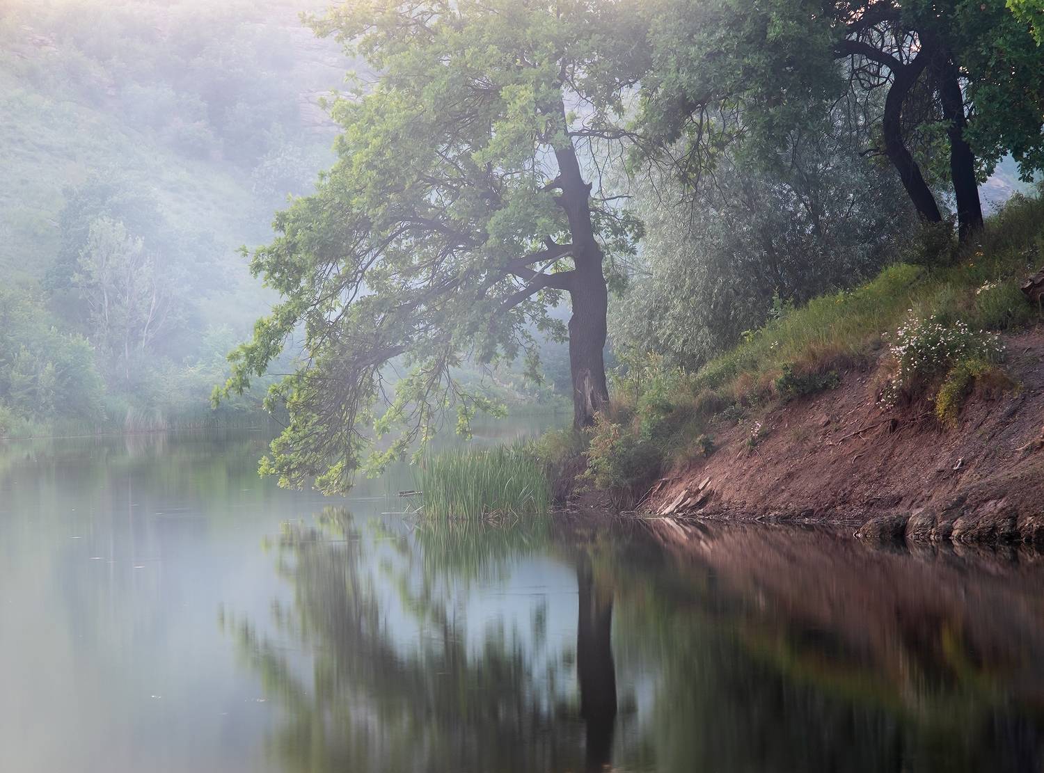 , Дитковский Евгений