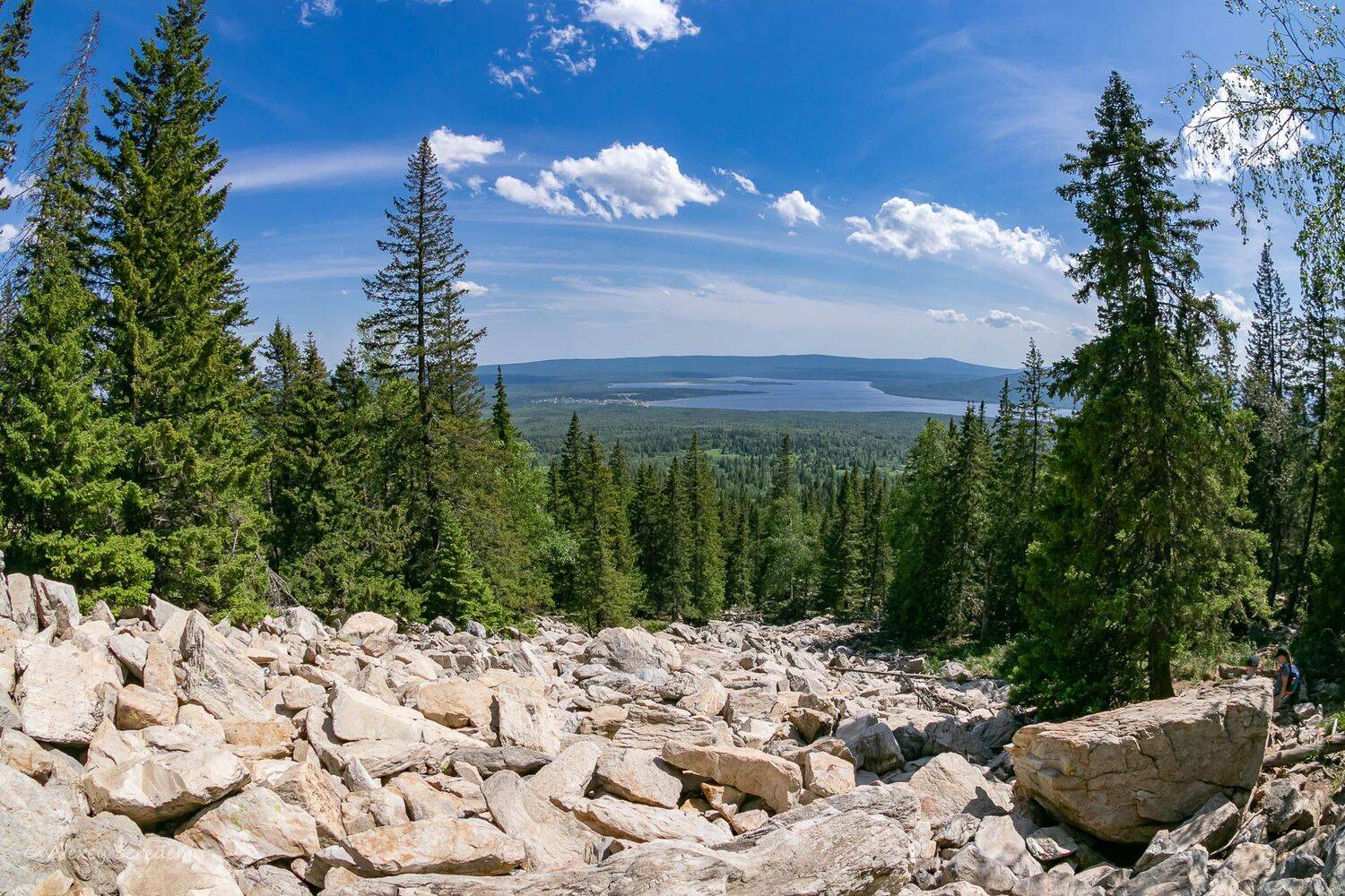 , Алексей Середенин