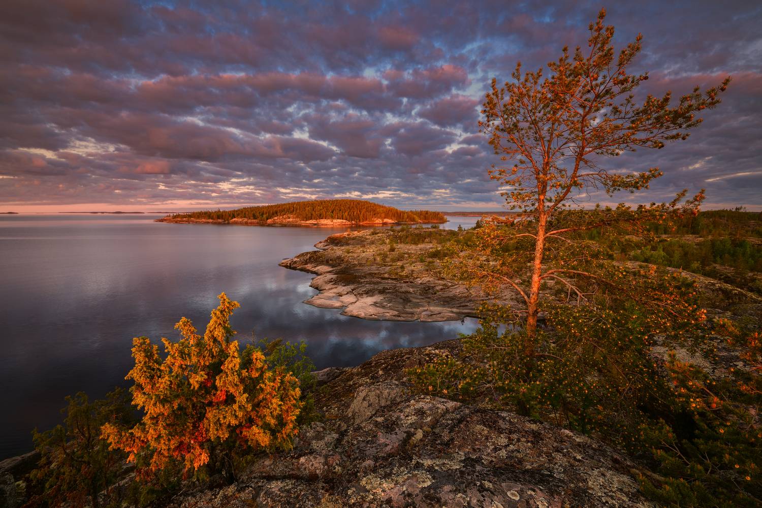 Ладога, Максим Евдокимов
