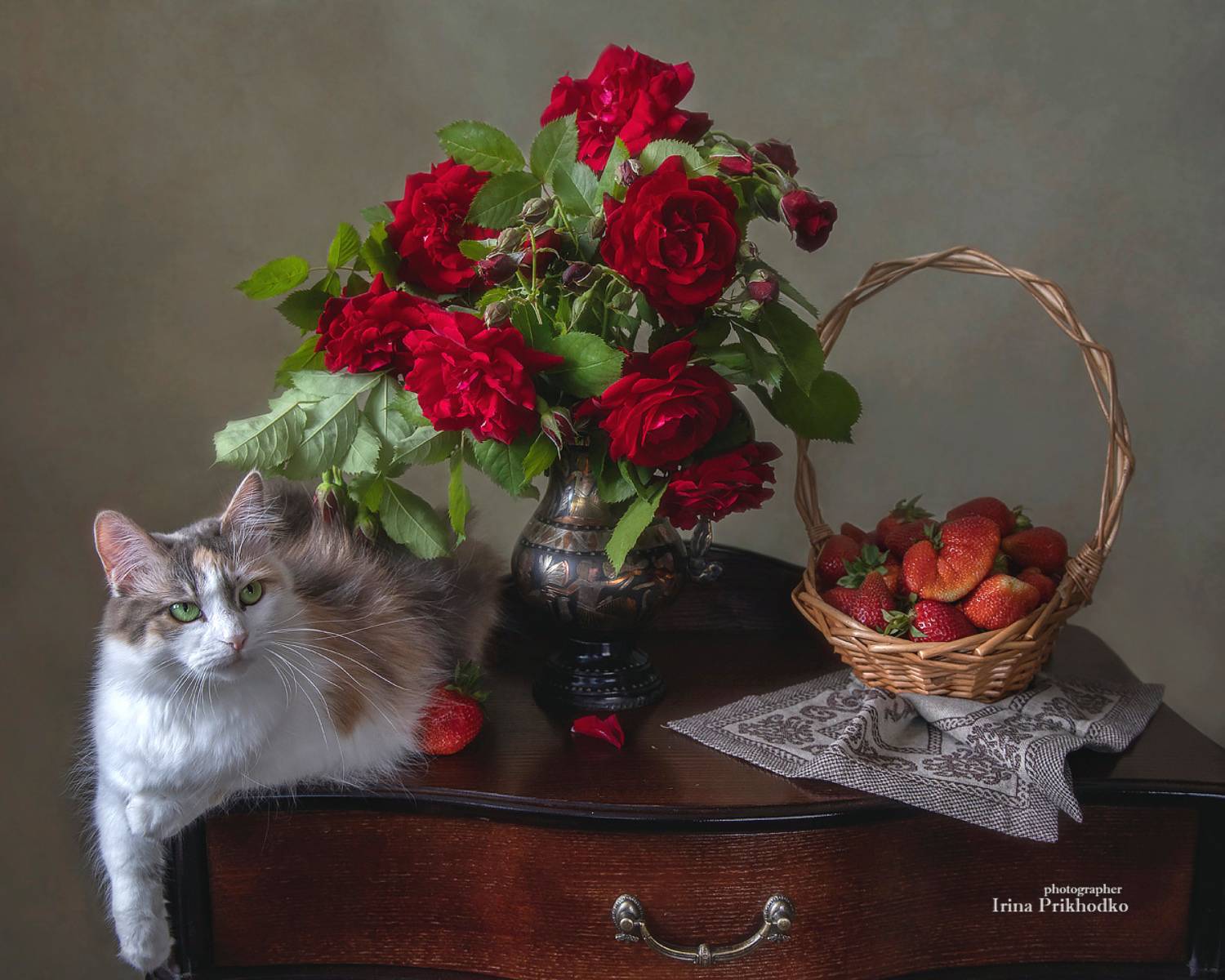 натюрморт, цветы, фрукты, клубника, розы, букеты, кошка, домашние питомцы, Приходько Ирина