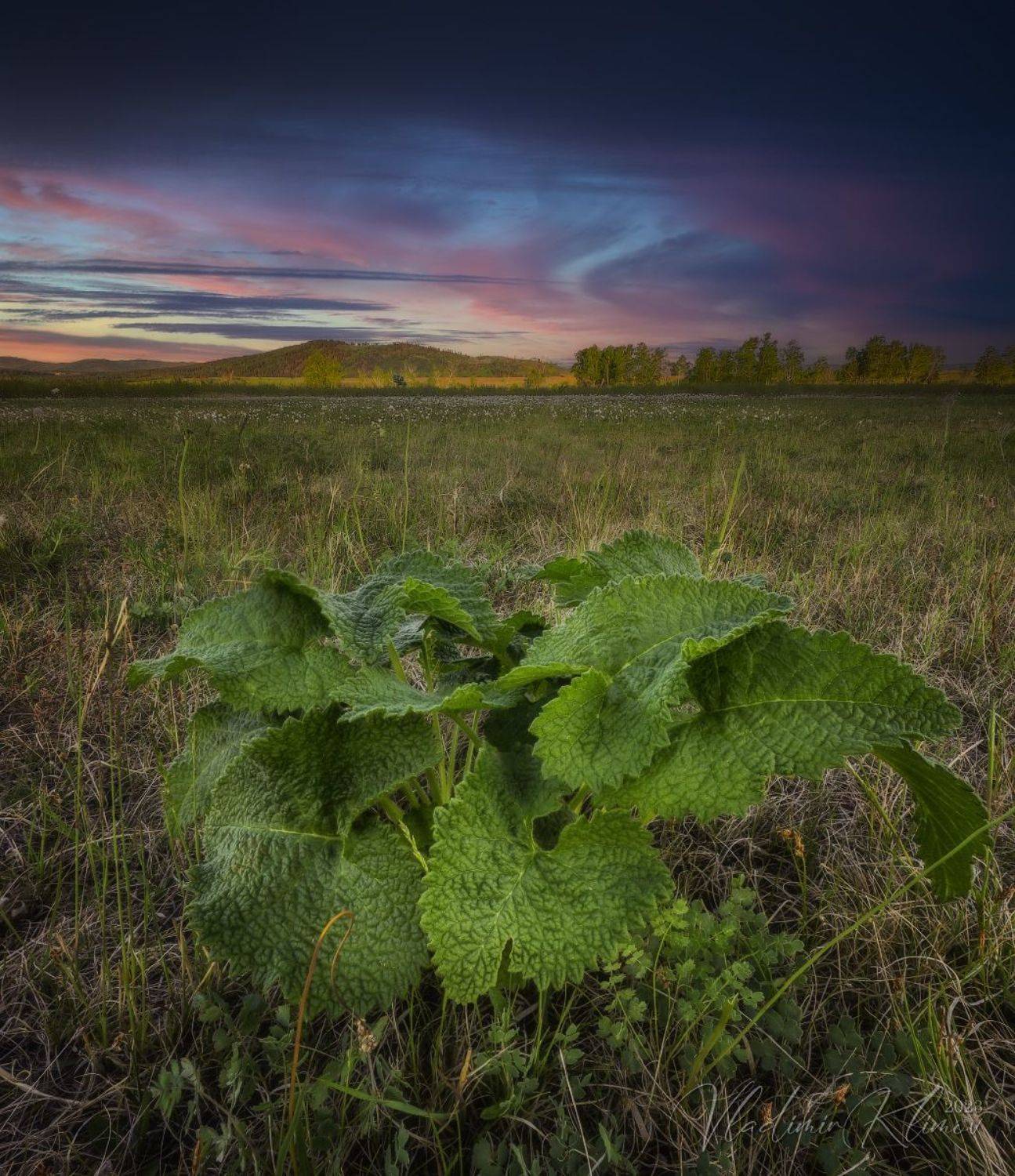 , Владимир Климов