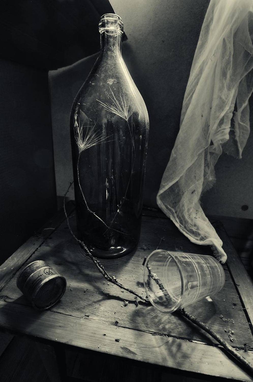 , Ирина Данилова