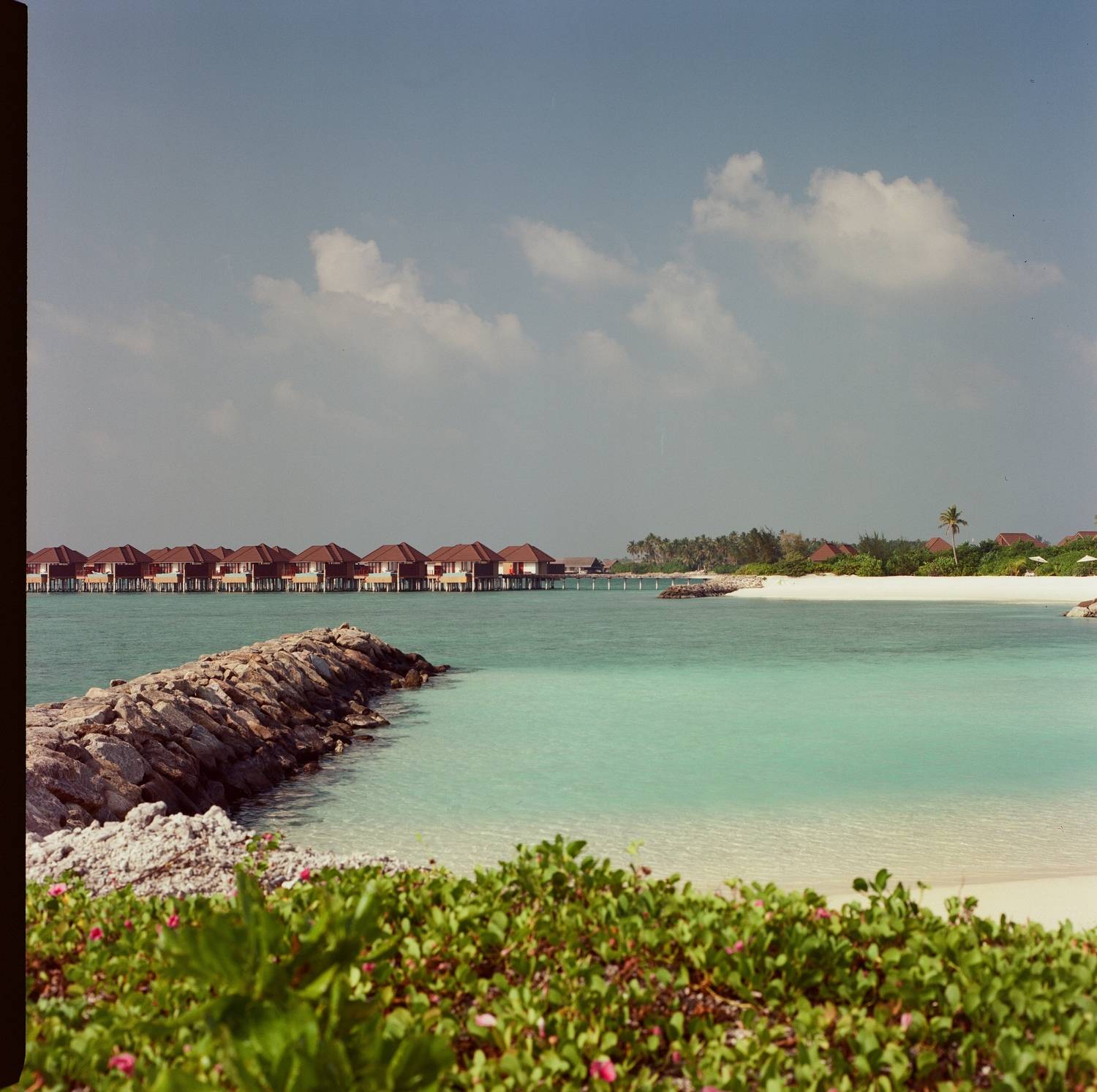 film, kodak, ektar 100, bronica, sq-a, 6x6, medium format, bronica sq-a, maldives, film, мальдивы, плёнка, средний формат, Попов Алексей