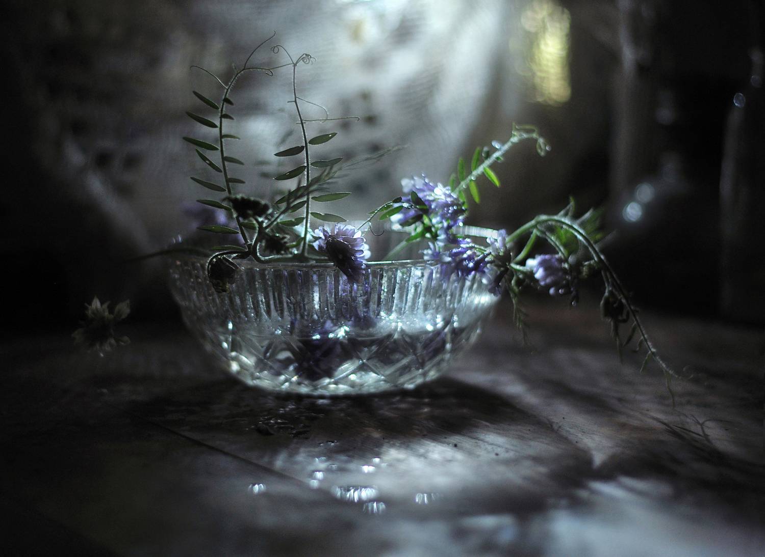 , Буглак Инна