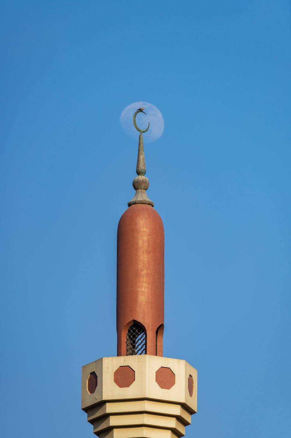 полнолуние, Абу-Даби, эмираты, мечеть, архитектура, Tsybenko Kirill
