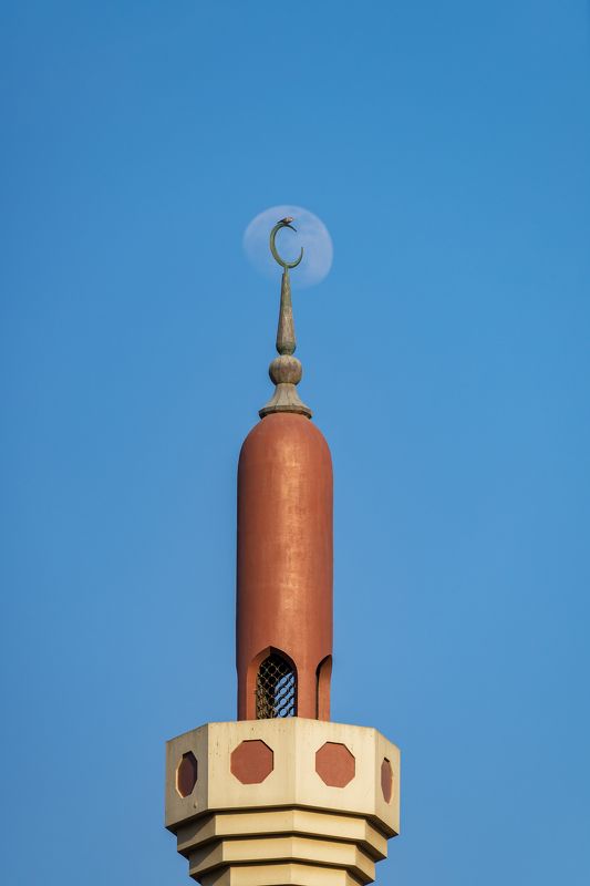 полнолуние, Абу-Даби, эмираты, мечеть, архитектура The bird seems to be keeping a watchful eye on the Moon rising фото превью