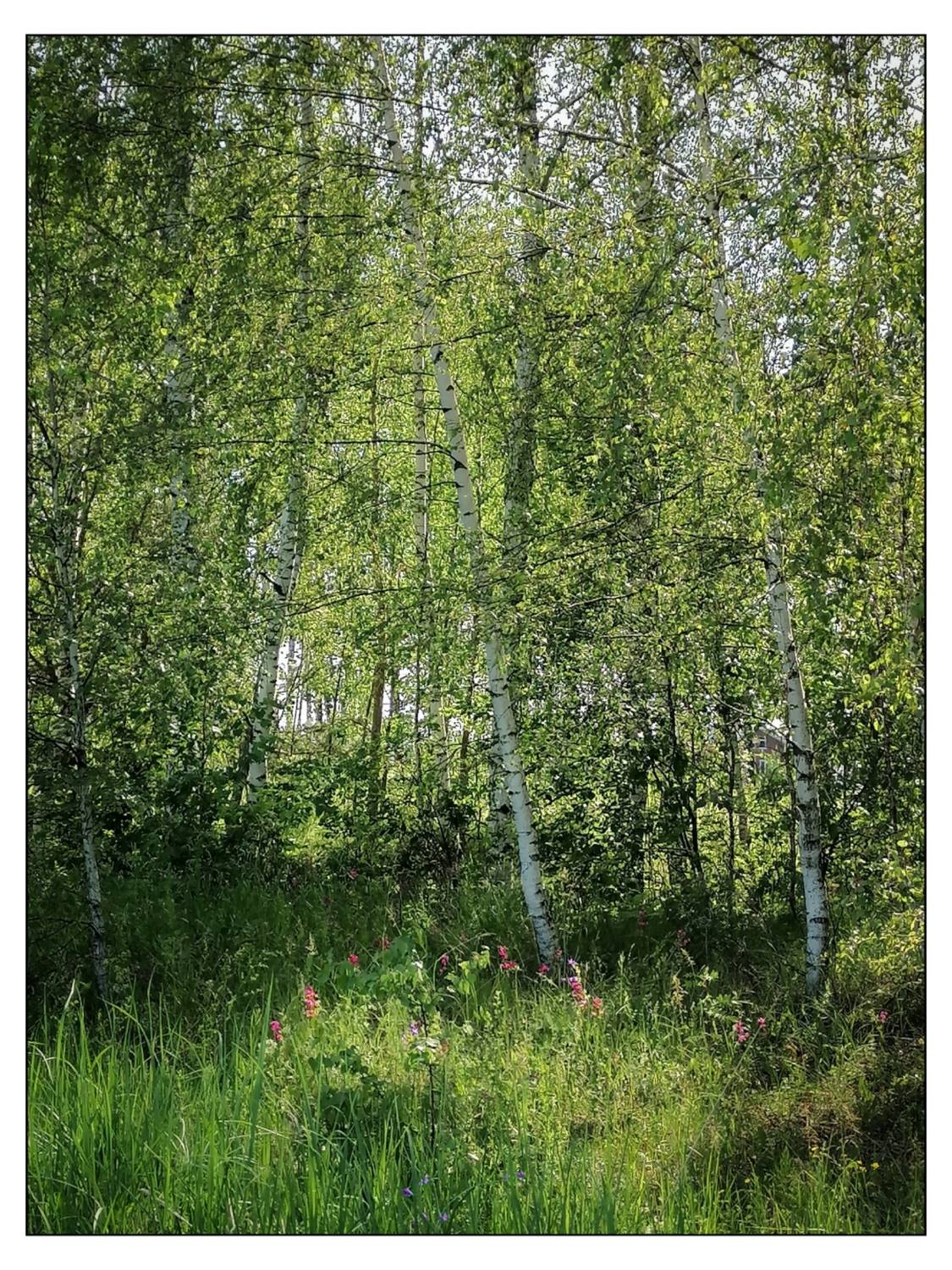 , Герасимова Алёна