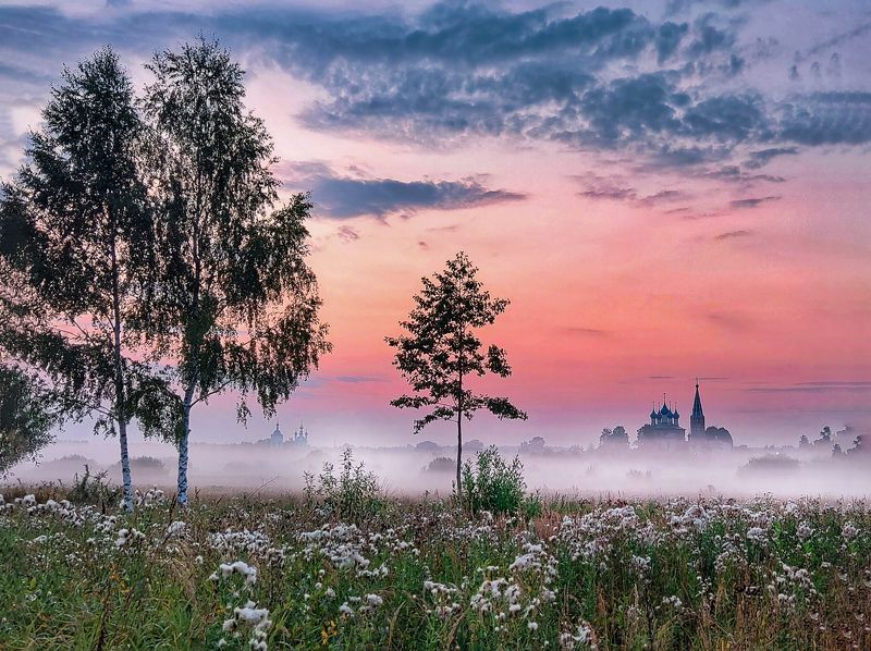 жизнь прекрасна! фото превью