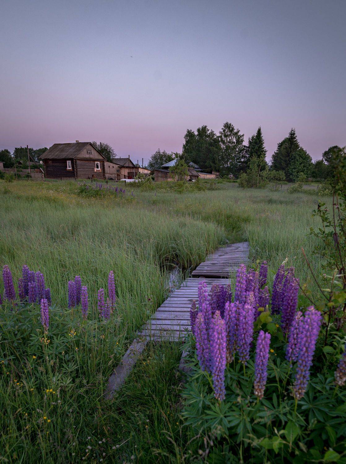 , Шуплецов Алексей