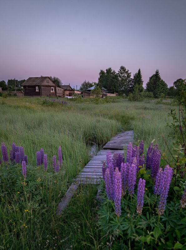 Ранним утром в Климковке. фото превью