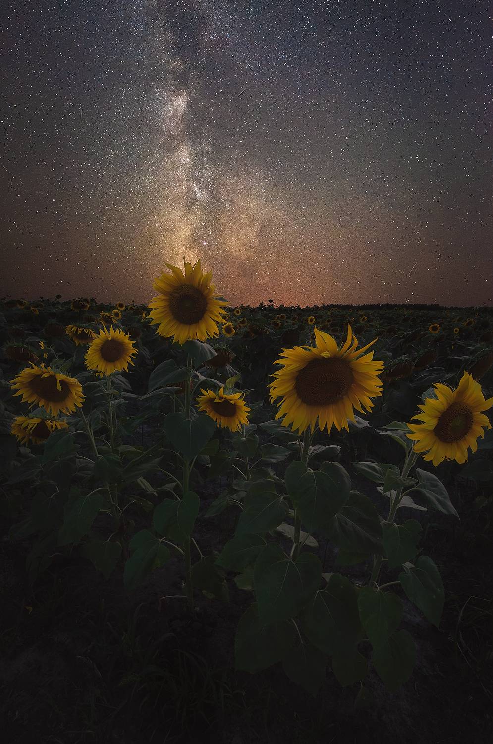 , Захаров Дмитрий