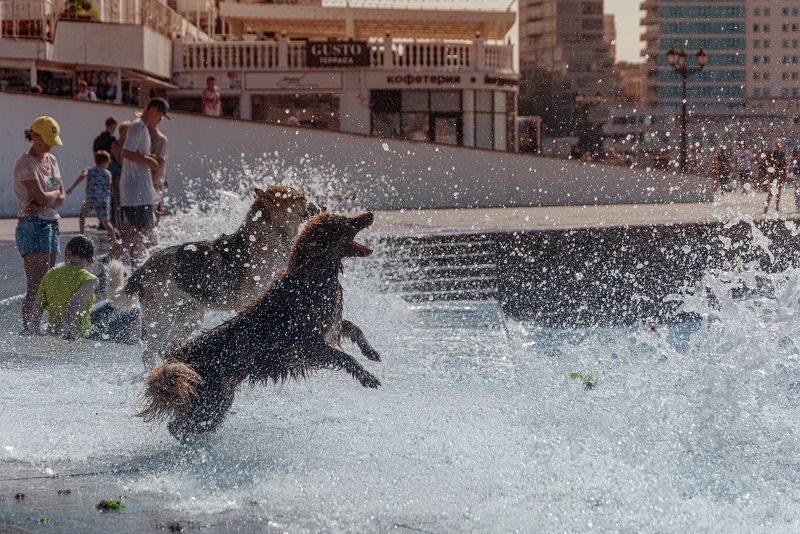 Водная феерия фото превью