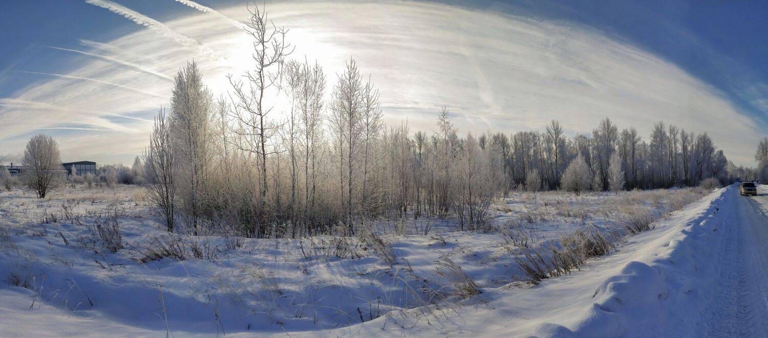 , Светлана Кондрашова