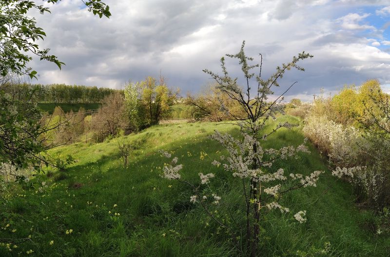 фото превью