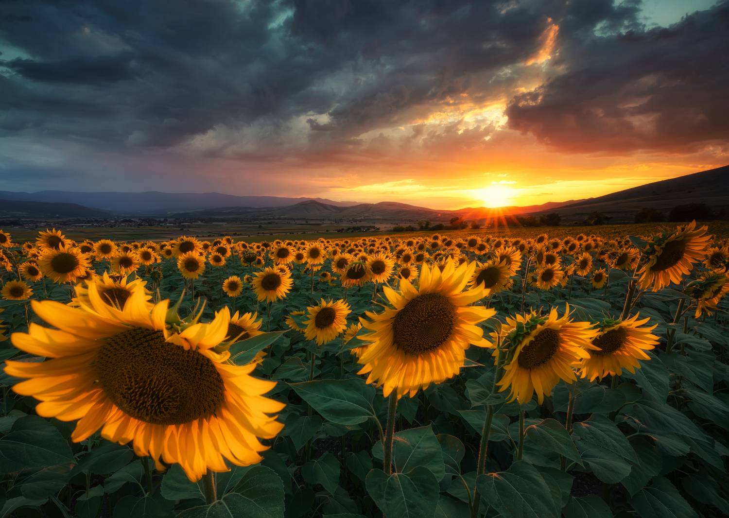 , Костадин Маджаров