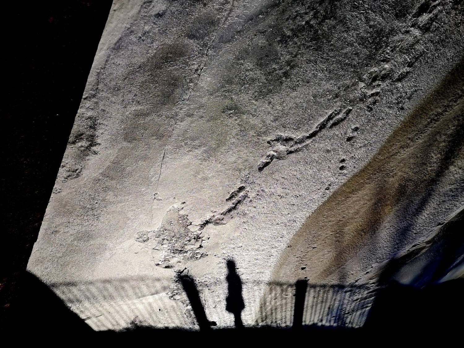 , Антон Лаба