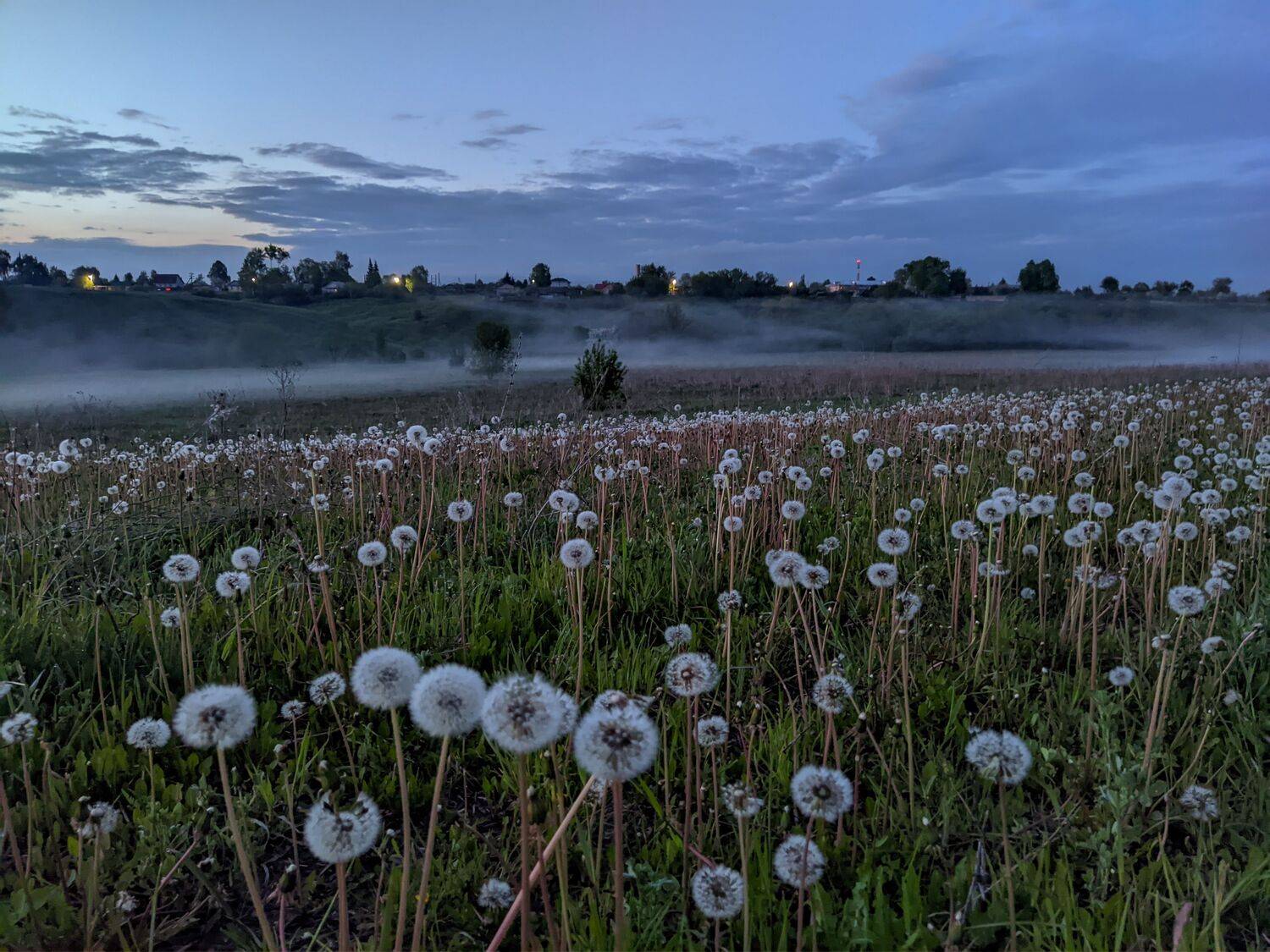 , Светлана Кондрашова