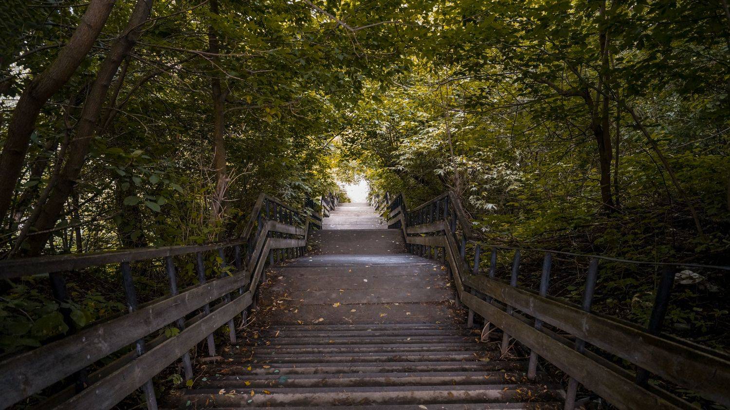 , Сушкевич Светлана