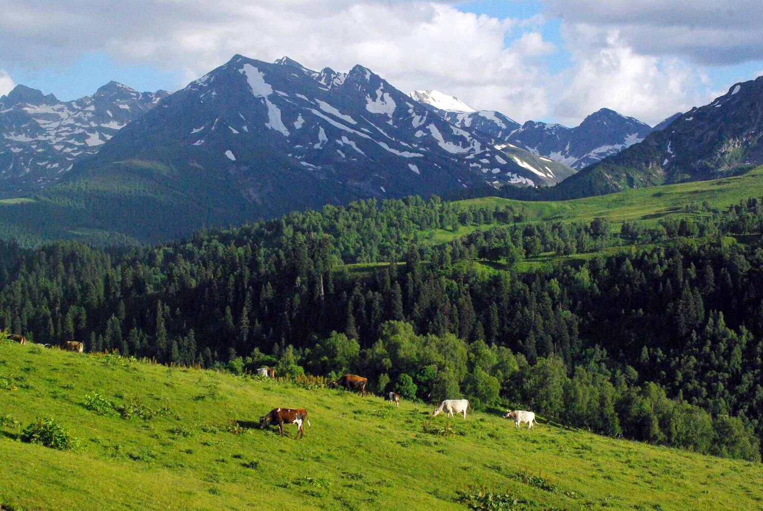 архыз, Андрей Любимов