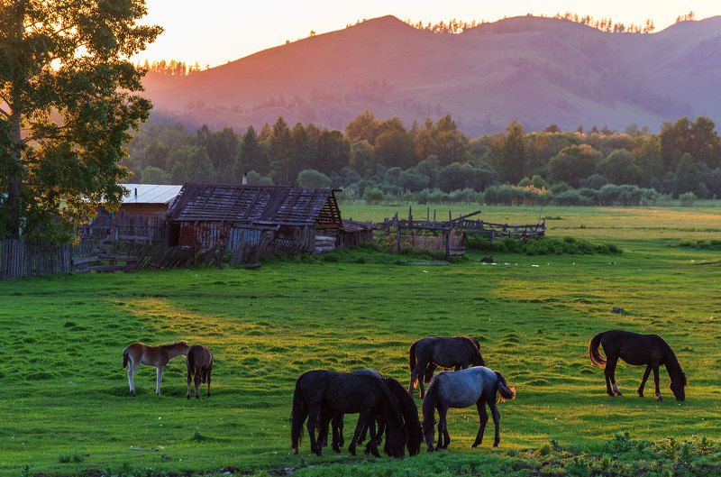 фото превью