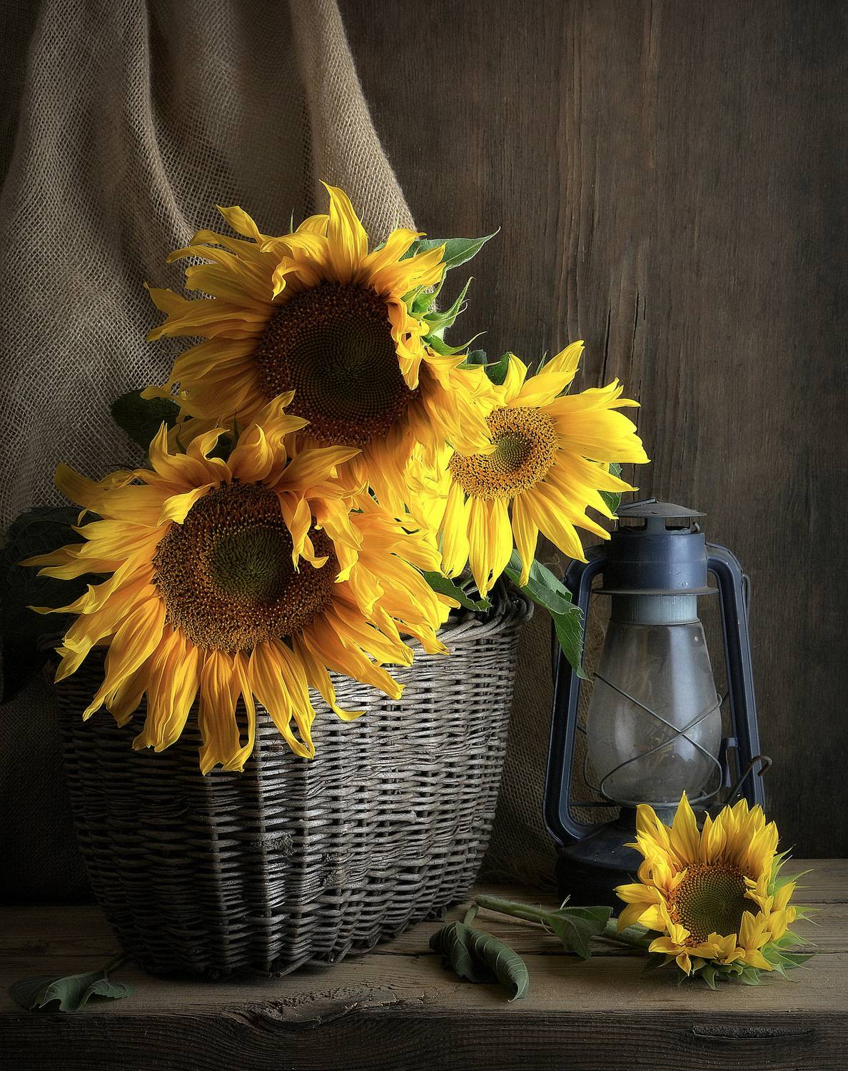 сергей алексеев, натюрморт, Сергей Алексеев