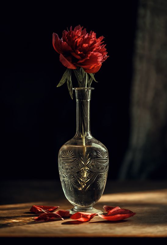 ... фото превью