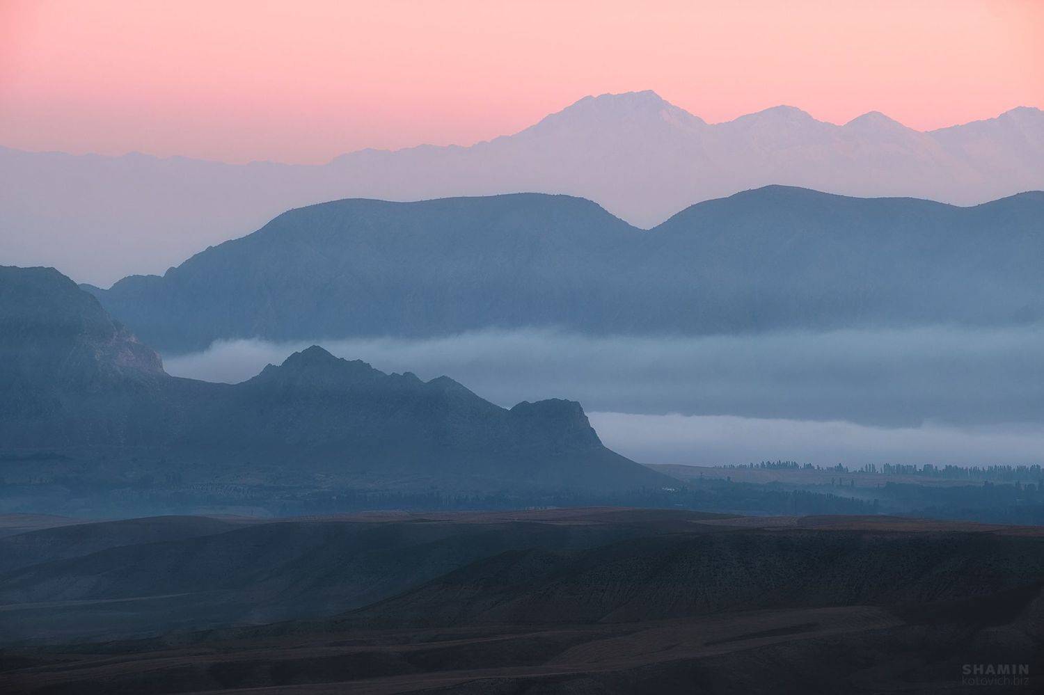 , Константин Шамин