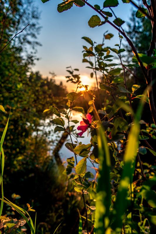 Цветность фото превью