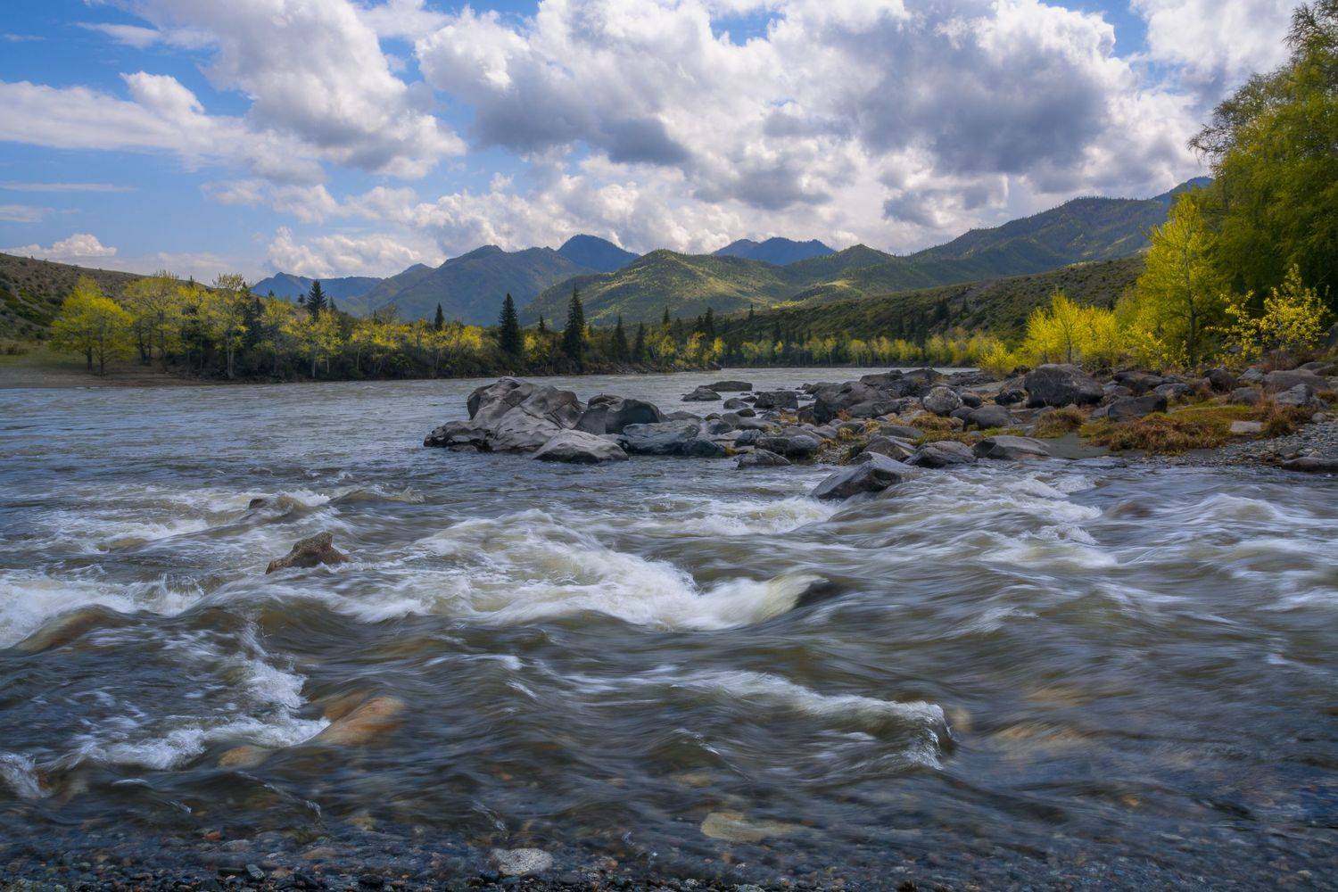 россия, горный алтай, река катунь, Андрей Поляков