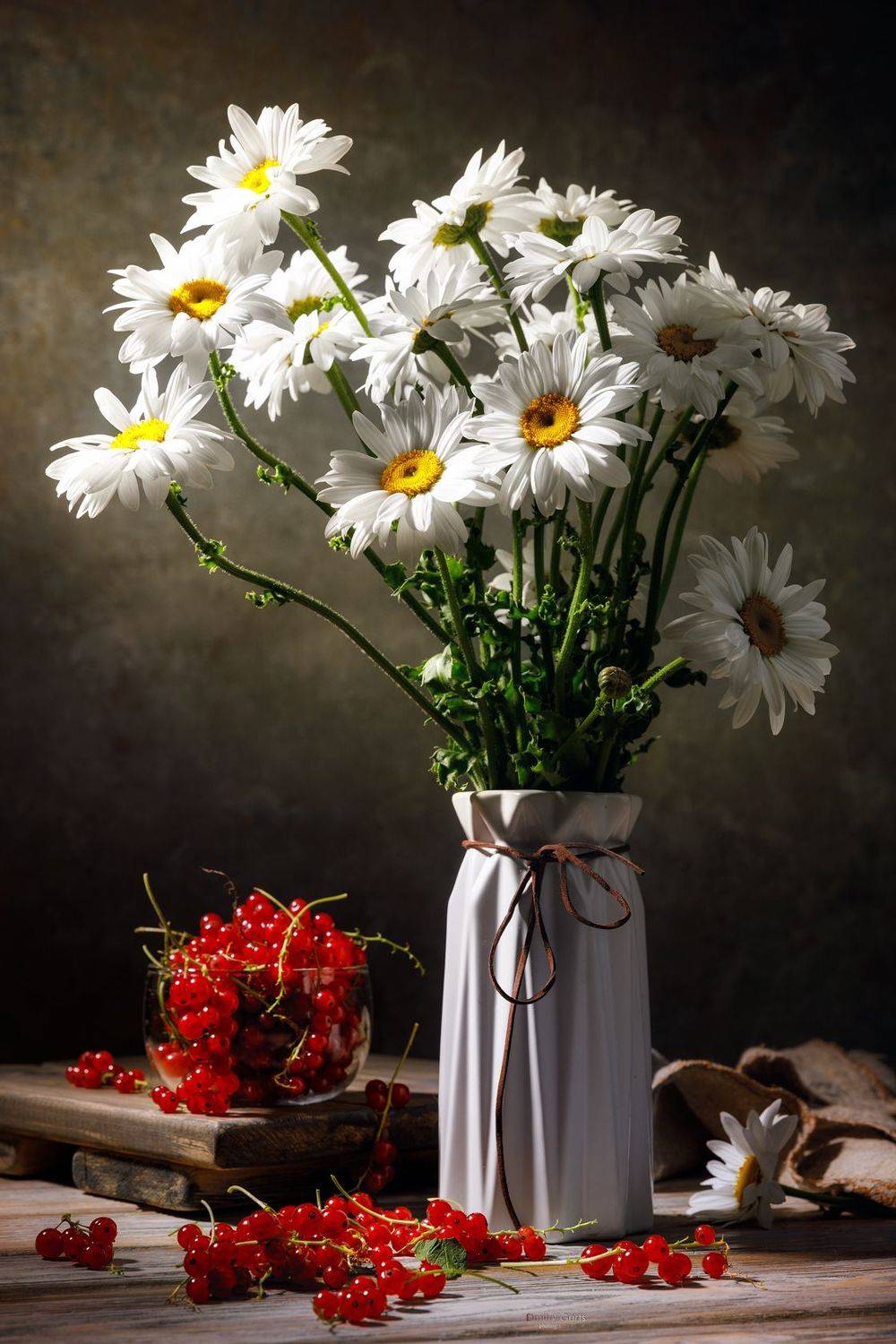 , Герц Дмитрий