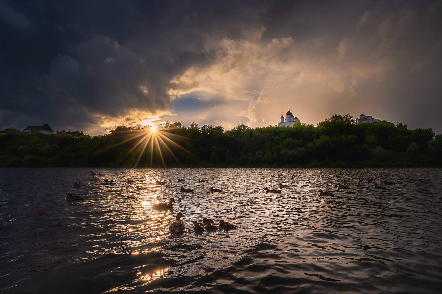 , Евгений Луцко