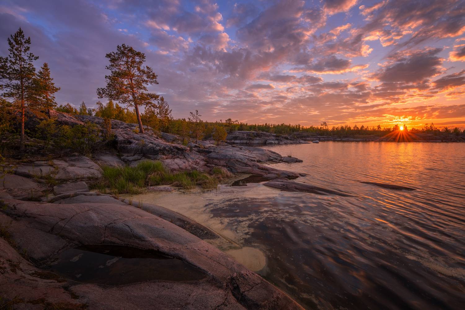 , Максим Евдокимов