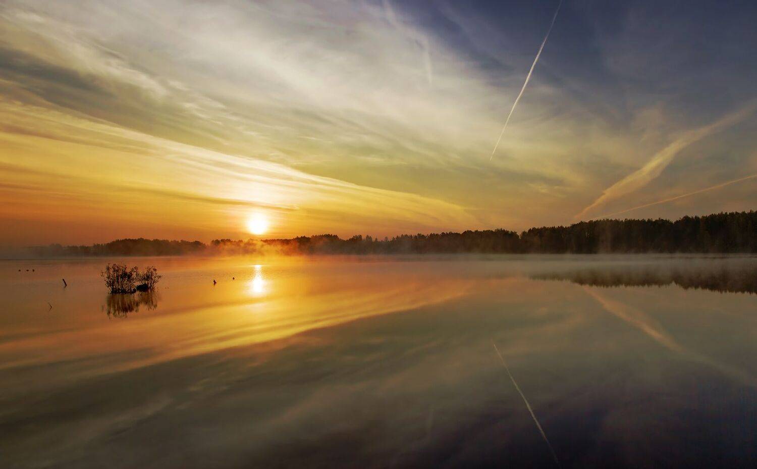 , Алексей Хахлов