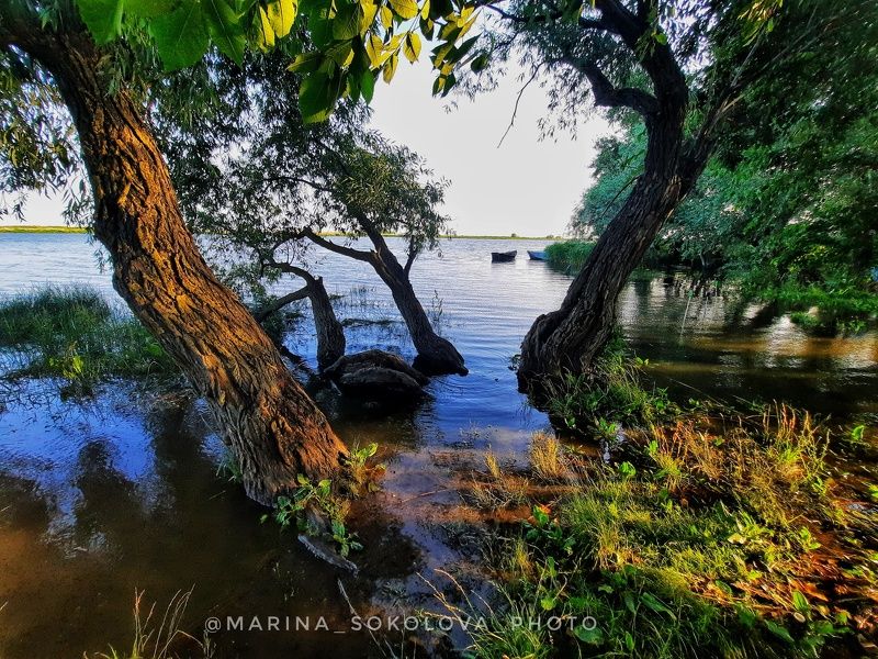 Прилив. фото превью