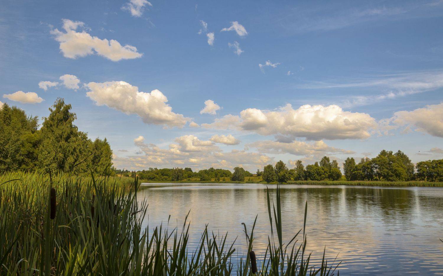 nevant60, пейзаж, красота, природа, Александр Березуцкий